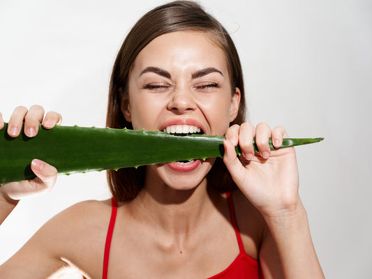 Botanicals vs Chemicals in Dentistry: A Natural Approach to Oral Health