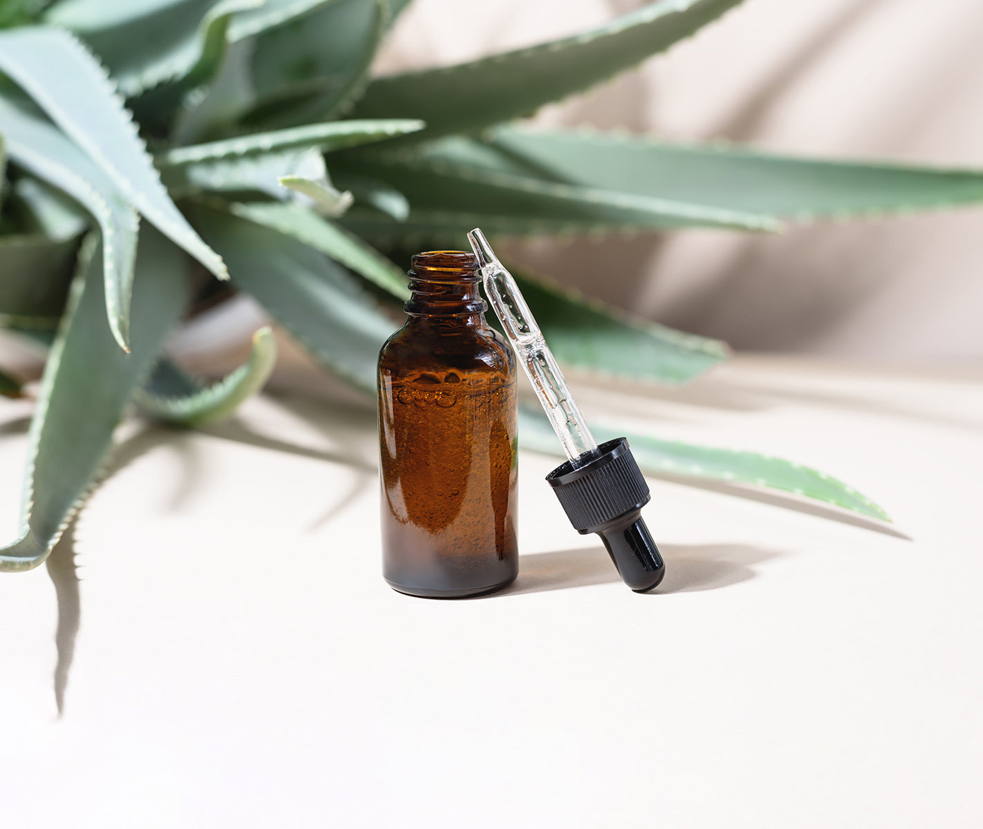 Aloe in glass dropper bottle